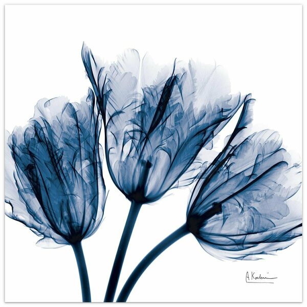 Solid Storage Supplies Blue Tulip X-Ray Frameless Free Floating Tempered Glass Panel Wall Art - Blue - 24in. x 24in. SO3488936